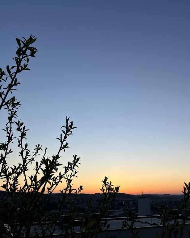 Sonnenaufgang 2